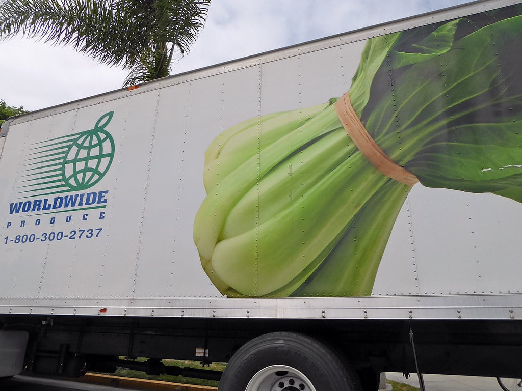 27003552116_4c626dc47d_b