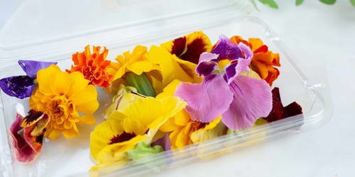 Microgreens & Flowers