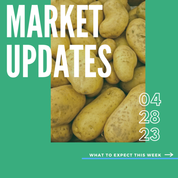 Market Report, 4.28