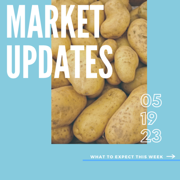 Market Report, 5.19