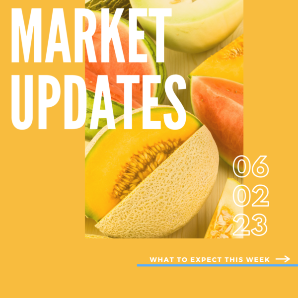Market Report, 6.2