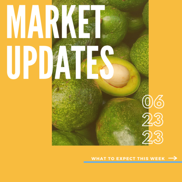 Market Report, 6.23