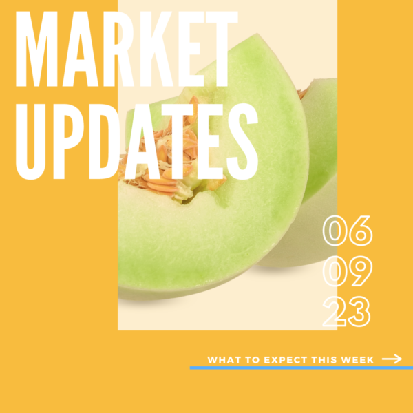 Market Report, 6.9