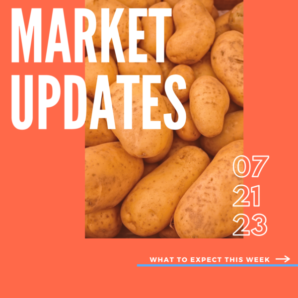 Market Report, 7.21