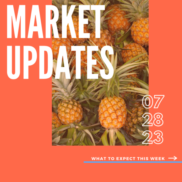 Market Report, 7.28