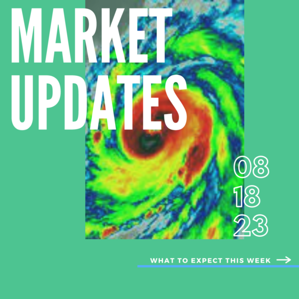 Market Report, 8.18