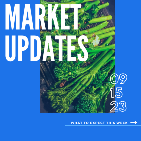 Market Report, 9.15