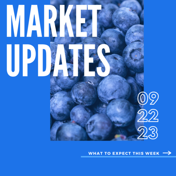 Market Report, 9.22