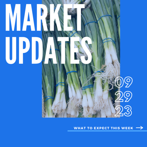Market Report, 9.29