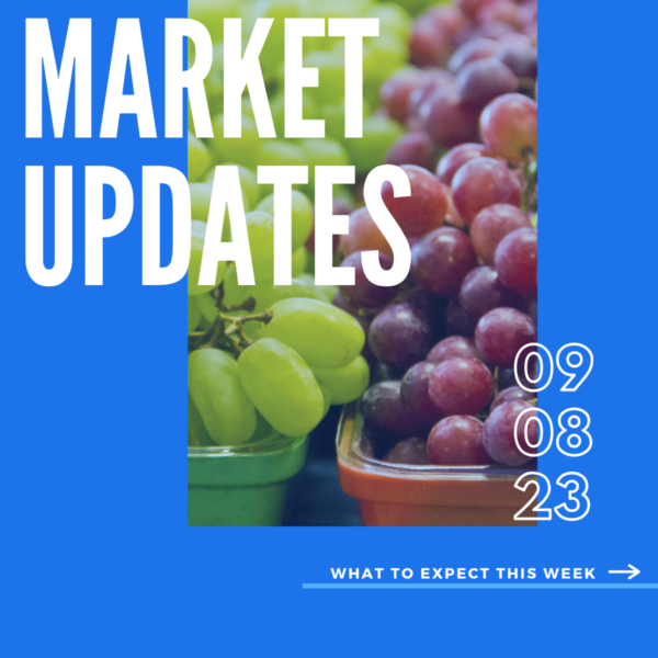 Market Report, 9.8
