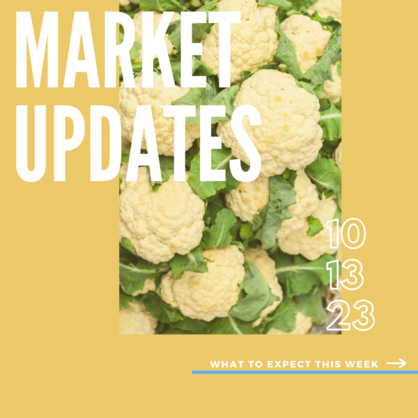 Market Report, 10.13