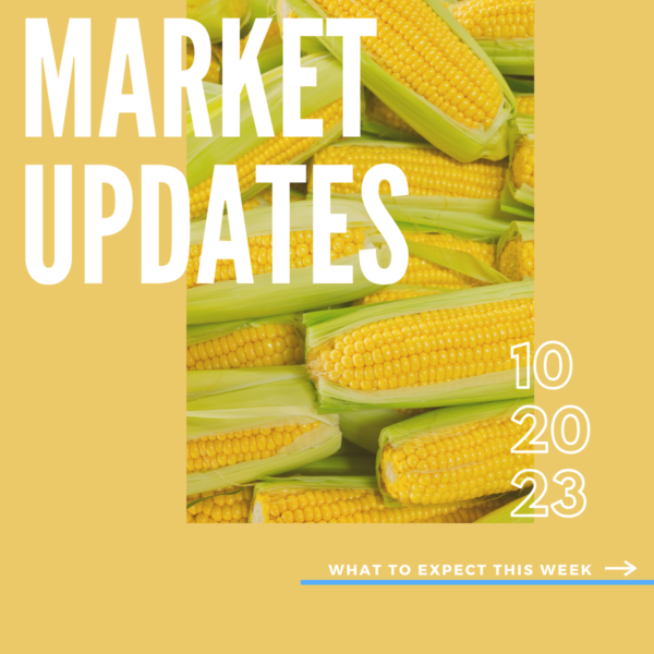 Market Report, 10.20