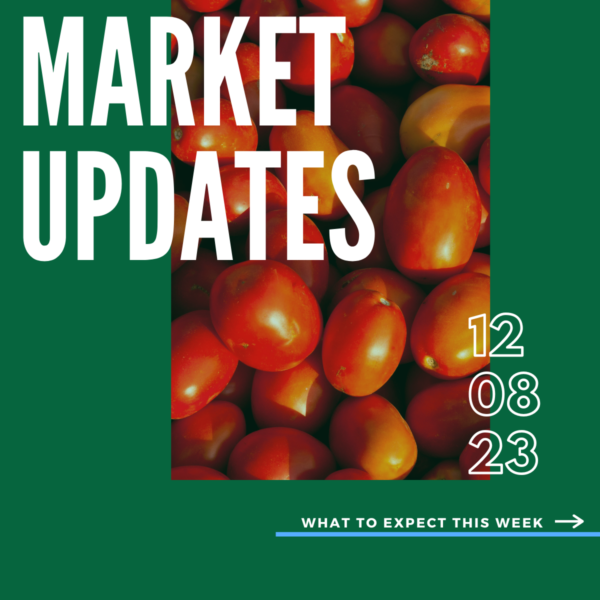Market Report, 12.8