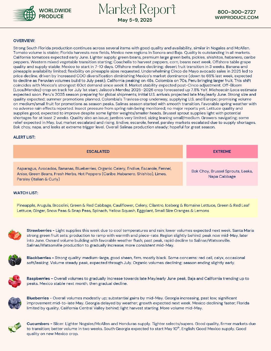 Wordwide Produce  . . . . Wwp Market Report Pdf
