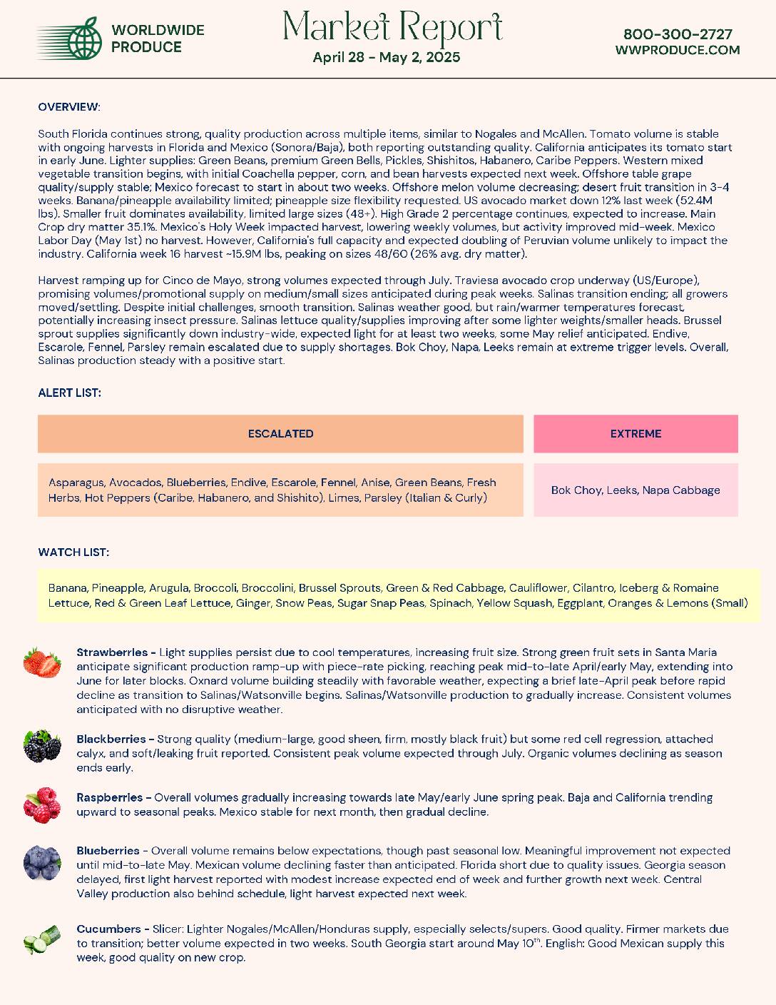 Wordwide Produce Wwp Market Report . . . . Pdf