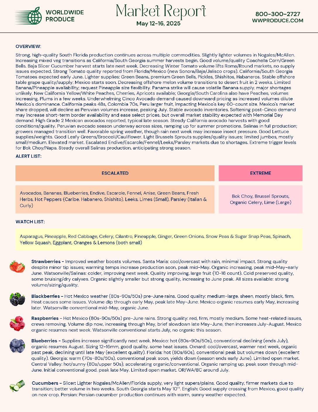 Wordwide Produce Wwp Market Report . . . . Pdf