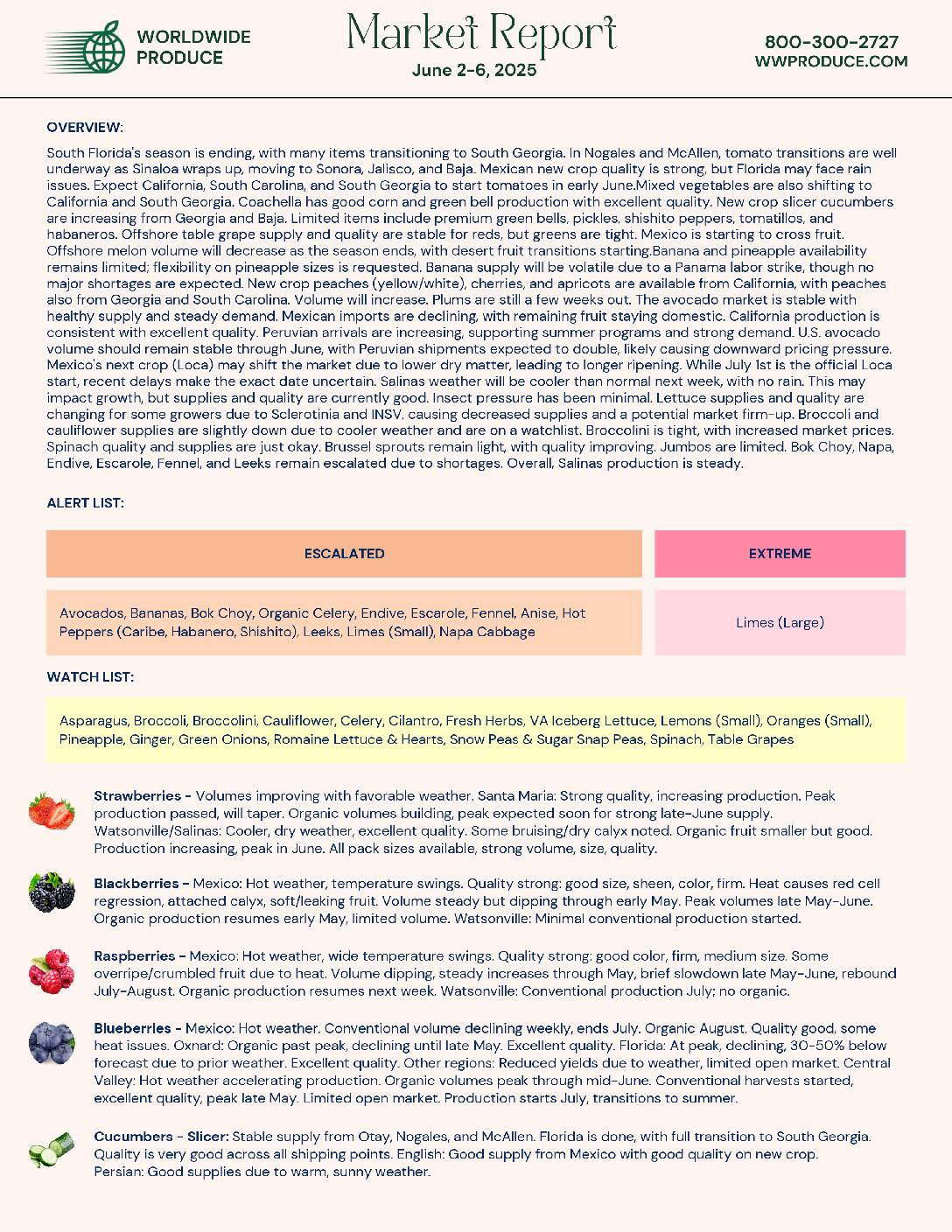Wordwide Produce Wwp Market Report . . . . Pdf