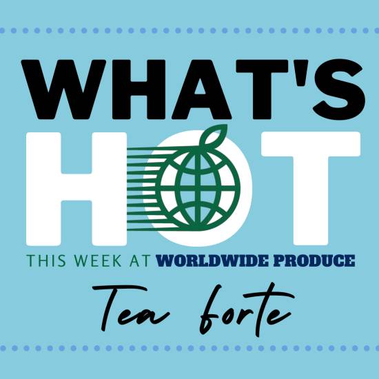 Wordwide Produce What's Hot Tea Forte